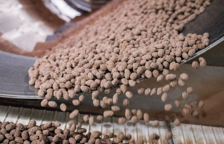 Вот как делают конфеты M&M’s: 8 любопытных фото с шоколадной фабрики