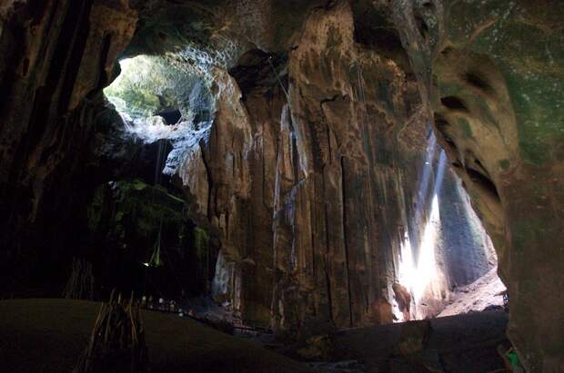 koshmary-nochnye-pohozhih-eto-interesno-poznavatelno-kartinki