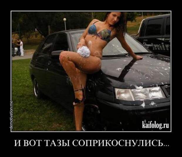 Немного новых демотиваторов