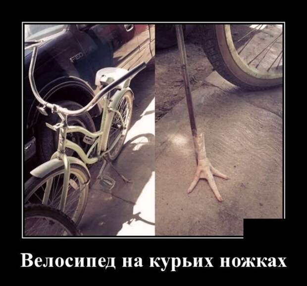 Демотиваторы (30 фото)
