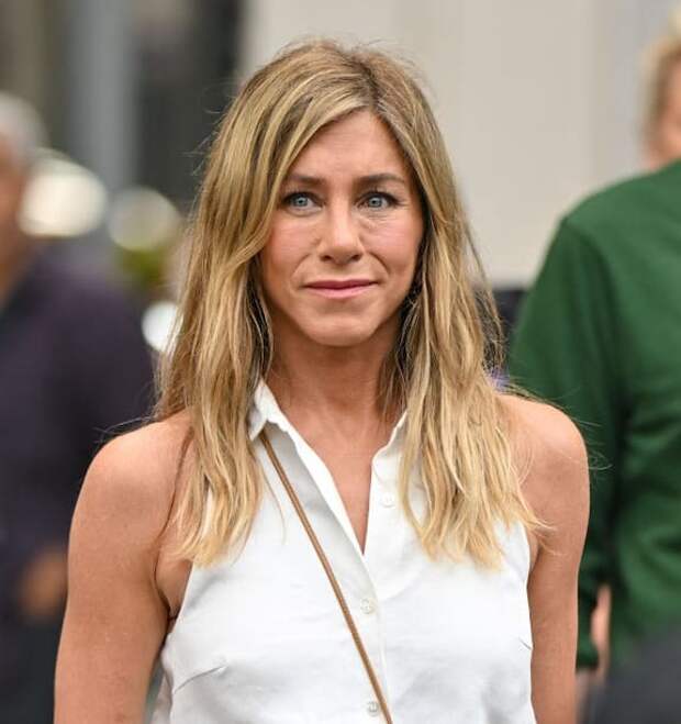 Сталкер, протаранивший ворота дома Дженнифер Энистон, появился в суде без одежды