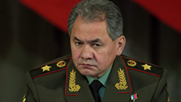 Министр обороны РФ Сергей Шойгу. Архивное фото