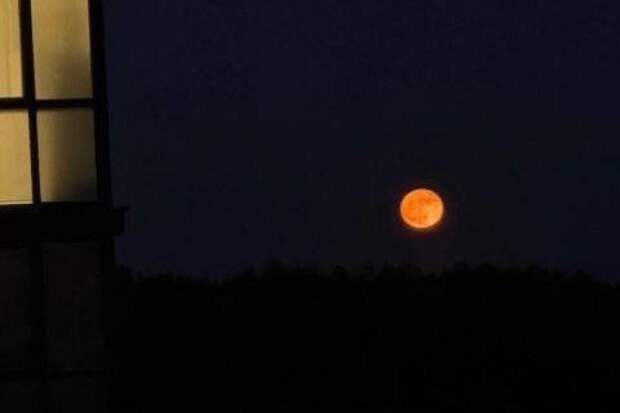 В Таиланде туристка из Самары упала с балкона и получила тяжкие травмы