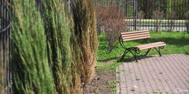 Парки / Фото: mos.ru