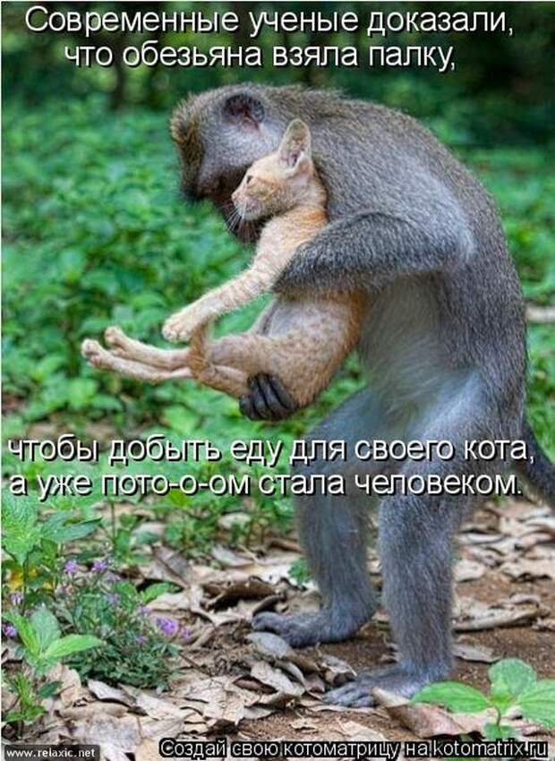 kotomatrix_121