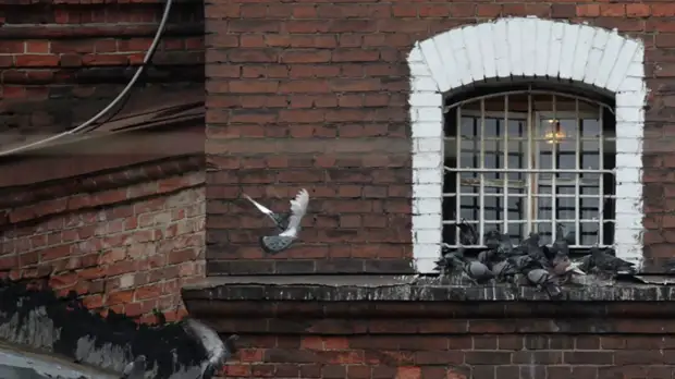 Прокуратура организовала проверку по факту побега мужчины из психбольницы в Подмосковье