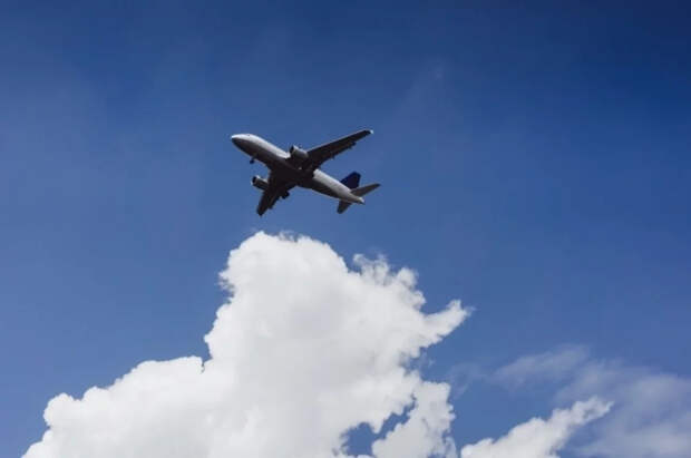 Пассажиры рейса Белград — Петербург вернулись в Россию спустя три дня