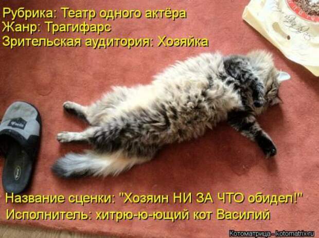 Котоматрицы (картинки с надписями)