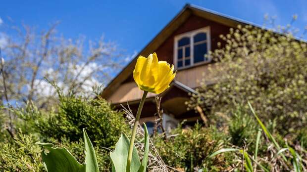 Психолог Гладких рассказала, что дача может утомлять сильнее офиса