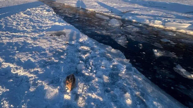Тела восьми человек подняты водолазами со дна Байкала