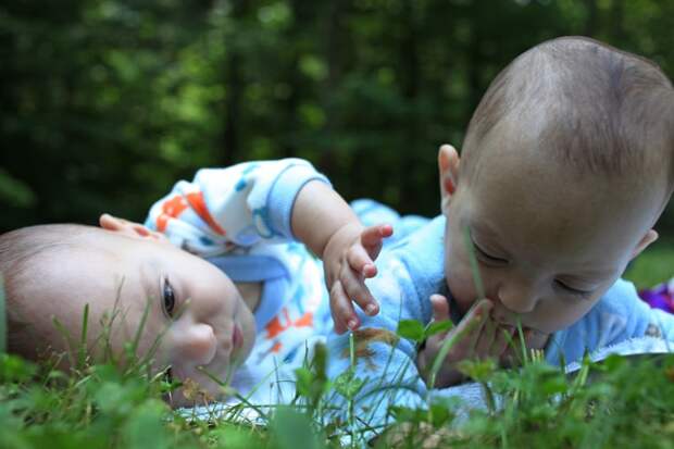 Image: Babies in the grass