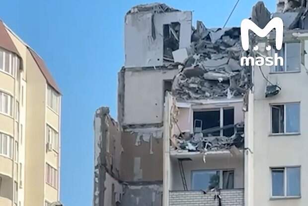 Кошку Масяню нашли живой в развалинах саратовского дома спустя неделю после взрыва