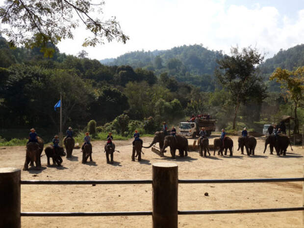 В Чианг Мае стартует школа Mahout