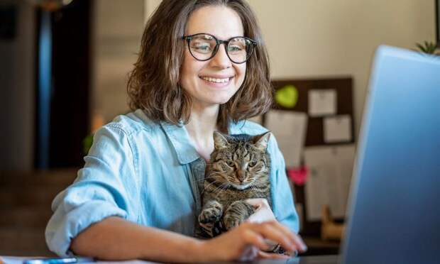 Если разгадаете кроссворд о кошках из 10 слов, можете считать себя заслуженным котоведом