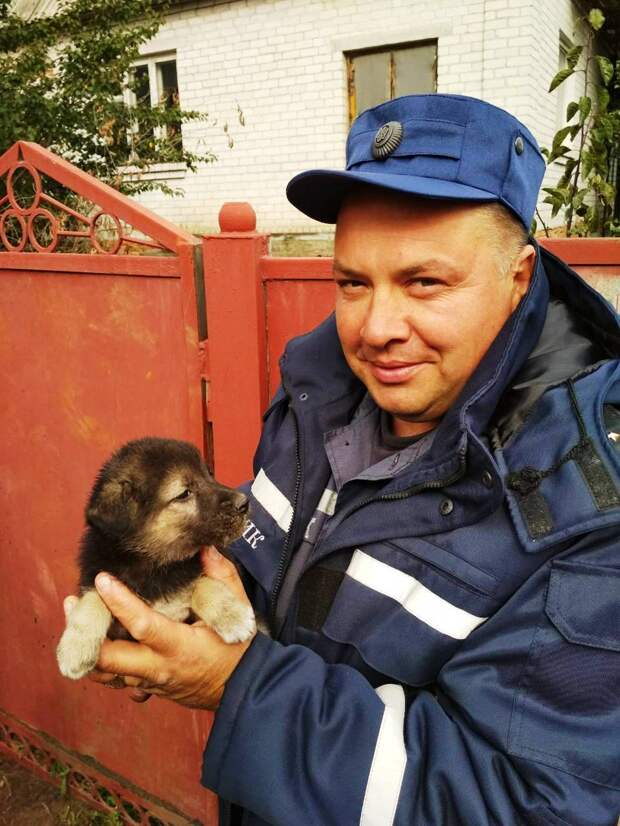 Cпасатели освободили щенка, который застрял в металлической ограде