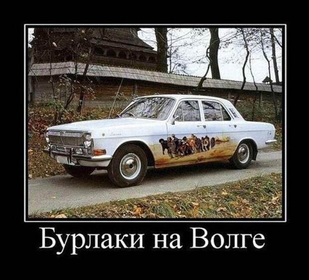 30 демотиваторов дня от 19-02-2014
