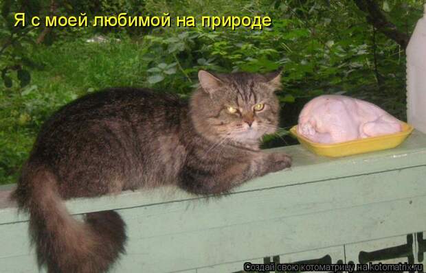Я с моей любимой на природе