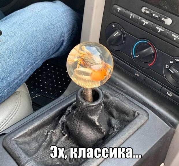 Подборка картинок. Вечерний выпуск (26 фото)