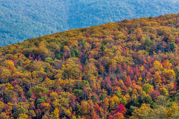 Blue Ridge Parkway