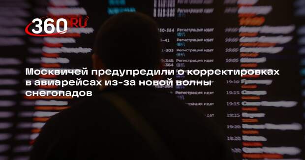 Росавиация: в Москве из-за метели в аэропортах могут начать переносить рейсы