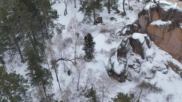 «ЛизаАлерт»: 35 добровольцев ищут пропавшего в Красноярске бывшего спецназовца