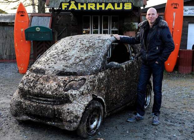 Продается Smart, пролежавший в море 7 лет Продается Smart, пролежавший в море 7 лет ebay, fortwo, smart, найдено на ebay