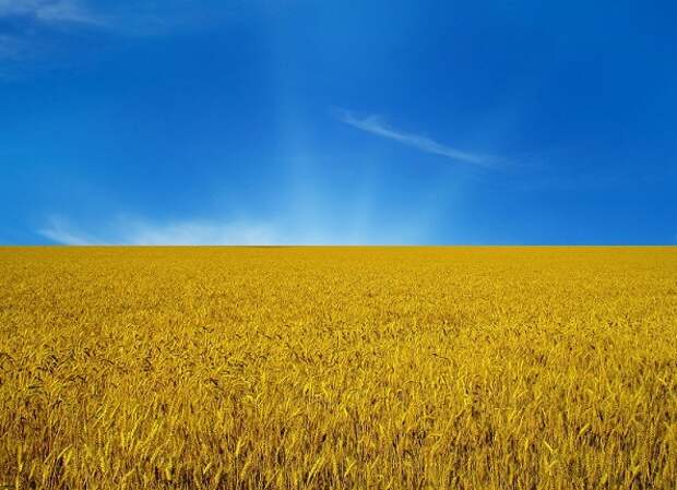 Что на самом деле означают цвета украинского флага