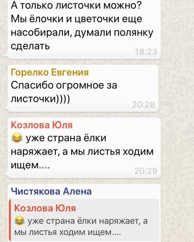 Странные родители и учителя в общих чатах