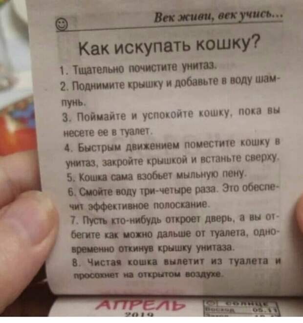 Какой интересный календарь Какой интересный календарь