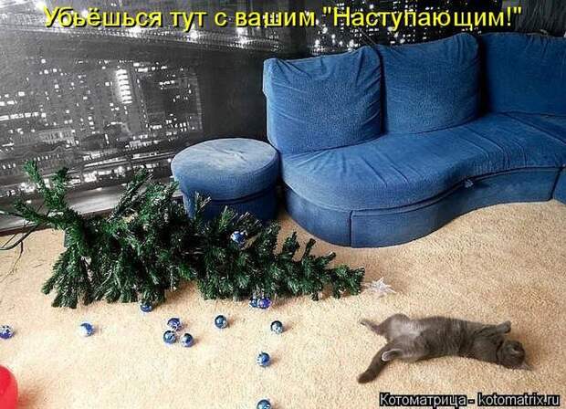 Лучшие котоматрицы недели (50 фото) Лучшие котоматрицы недели (50 фото)