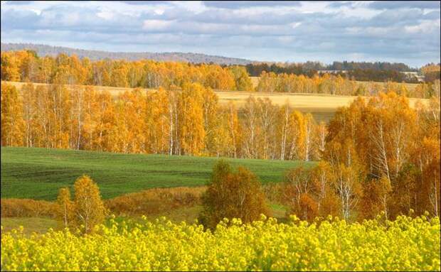 Красота Сибири (44 фото) Красота Сибири (44 фото)