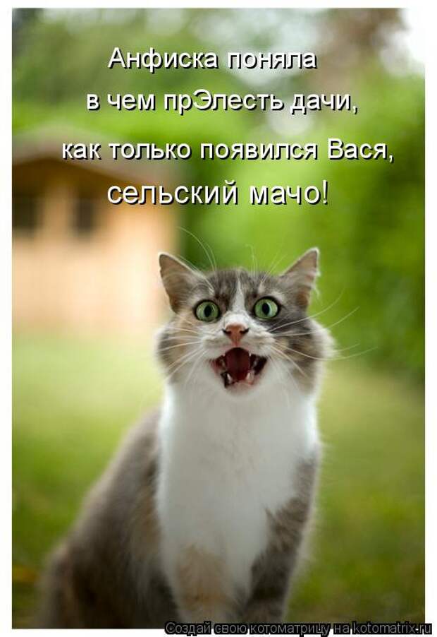 Котоматрица: Анфиска поняла  в чем прЭлесть дачи, сельский мачо! как только появился Вася,