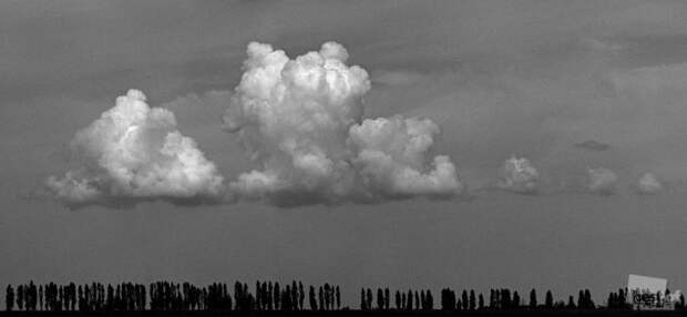 Лучшие фотографии России 2011. Номинация Природа