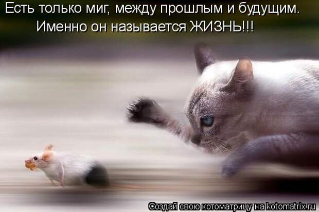 Есть только миг, между прошлым и будущим. Именно он называется ЖИЗНЬ!!!