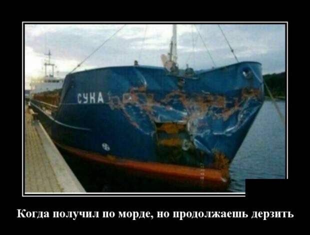 Демотиваторы