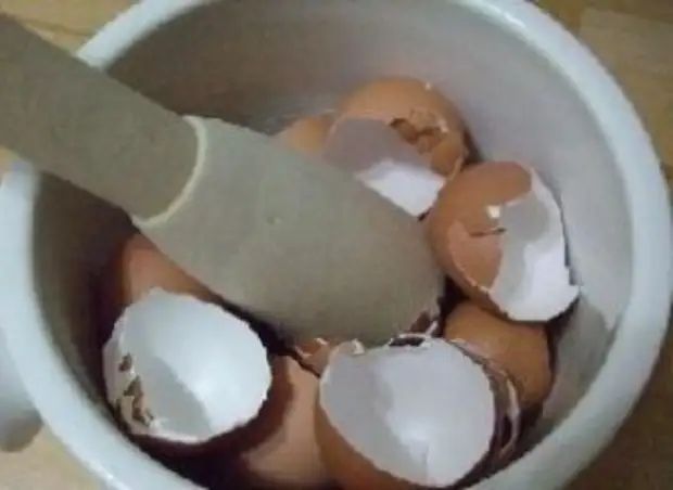 Яичную скорлупу вместо кальция. Скорлупа яиц. Скорлупа от яиц для суставов. Измельченная скорлупа яиц. Вареное яйцо и скорлупка.