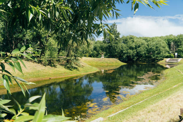 Омск потерял 252 миллиона на землях у Старозагородной рощи, где построили коттеджи