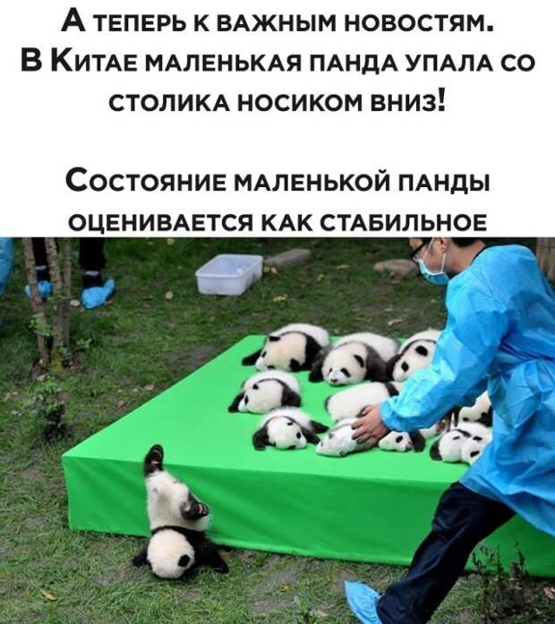 Смешные фото вечер 23 марта