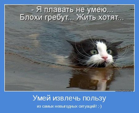 Мотиваторы интересные. Нет ничего постояннее...