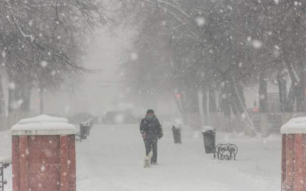 5 января в Рязанской области ожидается снегопад и до -11 градусов