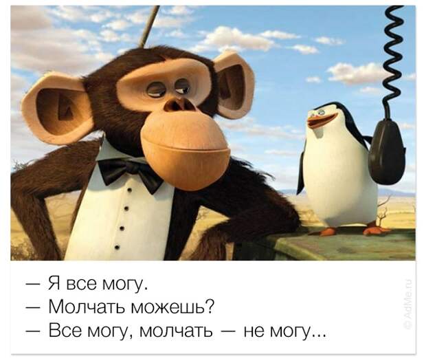 смешные цитаты из мультфильмов, фразы мультфильмы
