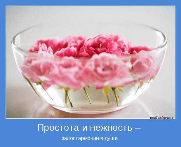 залог гармонии в душе 