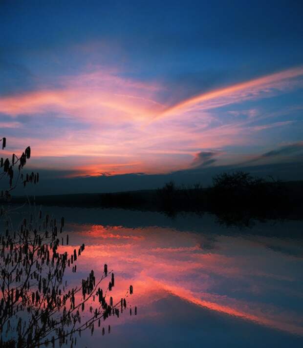 Фото жизнь - mondtag3106 - Пейзажи - Птица заката