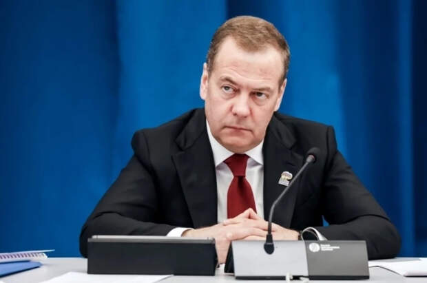 Медведев призвал выдворять из России мигрантов с опасными болезнями