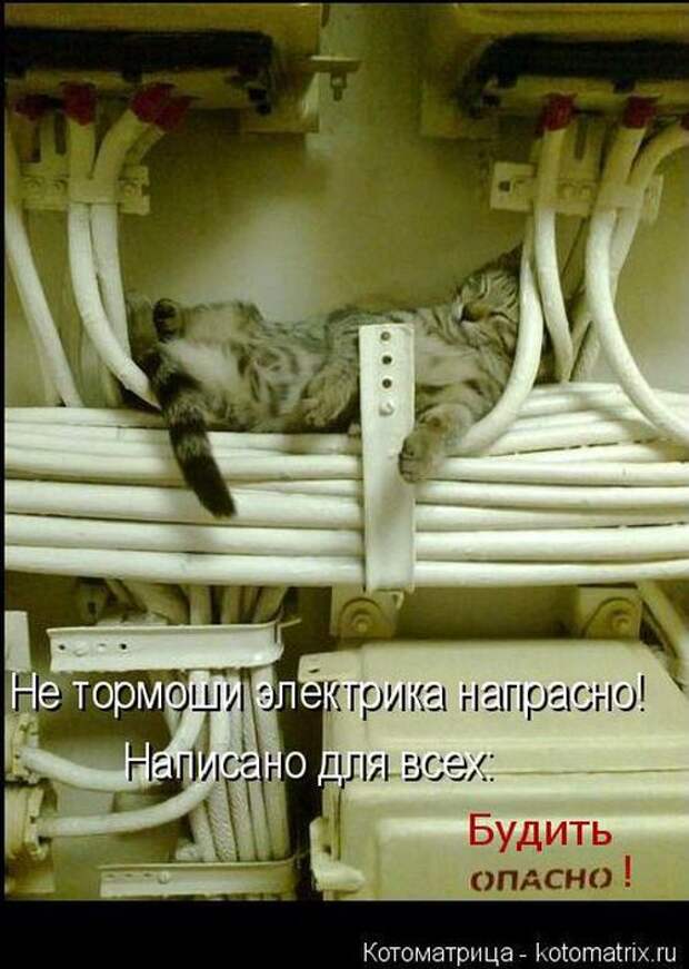 Лучшие котоматрицы недели (50 фото) Лучшие котоматрицы недели (50 фото)