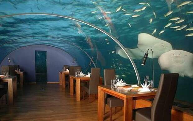 Подводный ресторан на Мальдивах (7 фото)