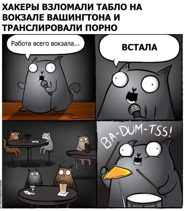 Стендап-кот и его коллекция саркастических комиксов Стендап-кот и его коллекция саркастических комиксов