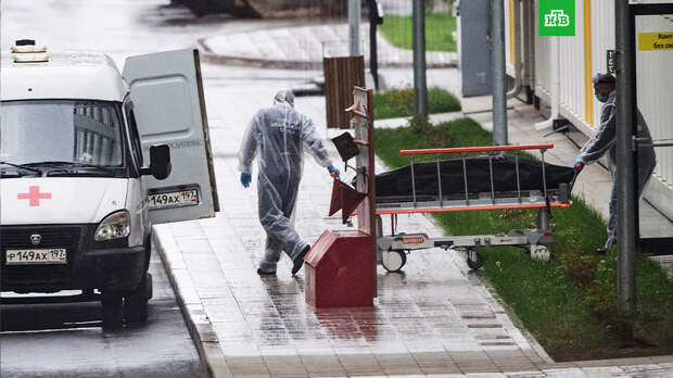 В РФ за сутки впервые зафиксировали более 200 смертей от коронавируса