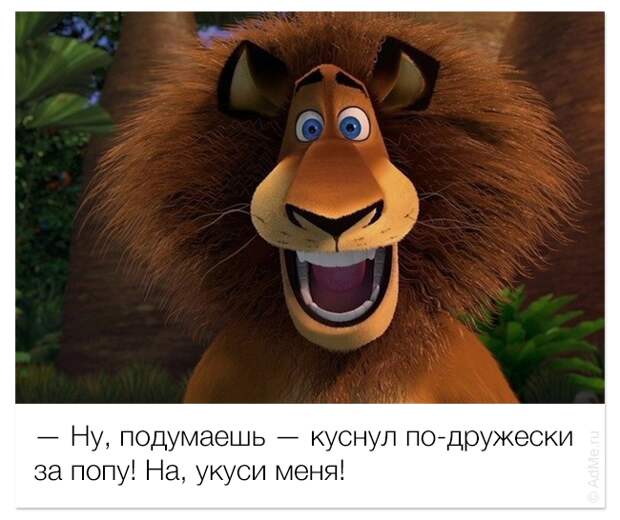 смешные цитаты из мультфильмов, фразы мультфильмы