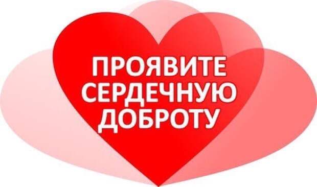 Она очень ждёт человека, который подарит ей любовь, комфорт и чувство безопасности! Она очень ждёт своего хозяина!
